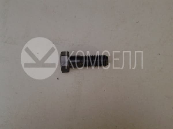 Болт 01010-31855