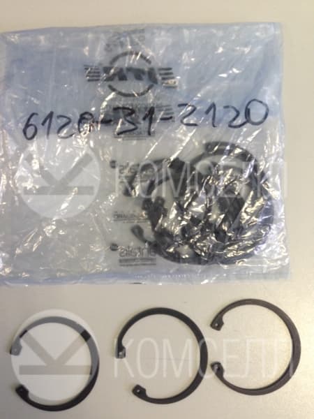 Стопорное кольцо 6120-31-2120